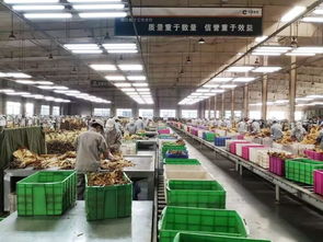 煙草行業的雙重擔當 以穩就業助農增收的深層啟示